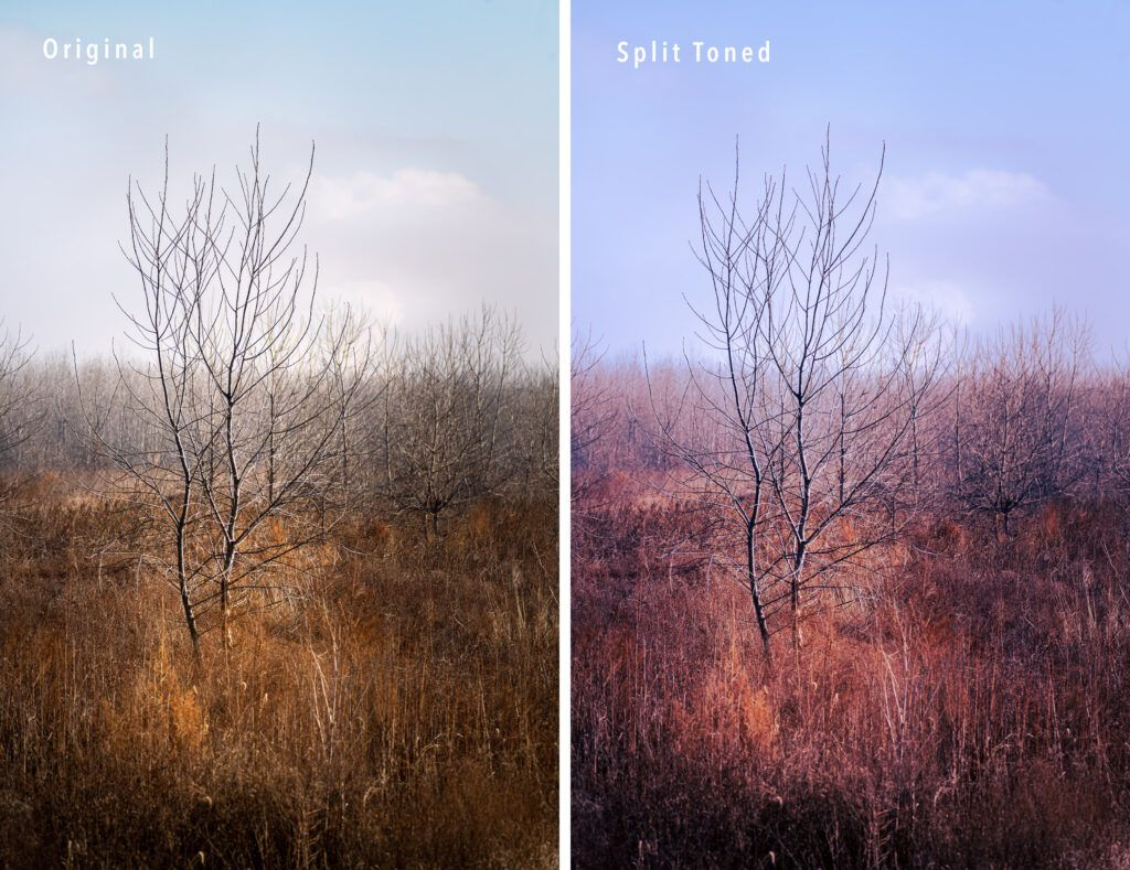 Split Toning | Color Grading | Color Correction