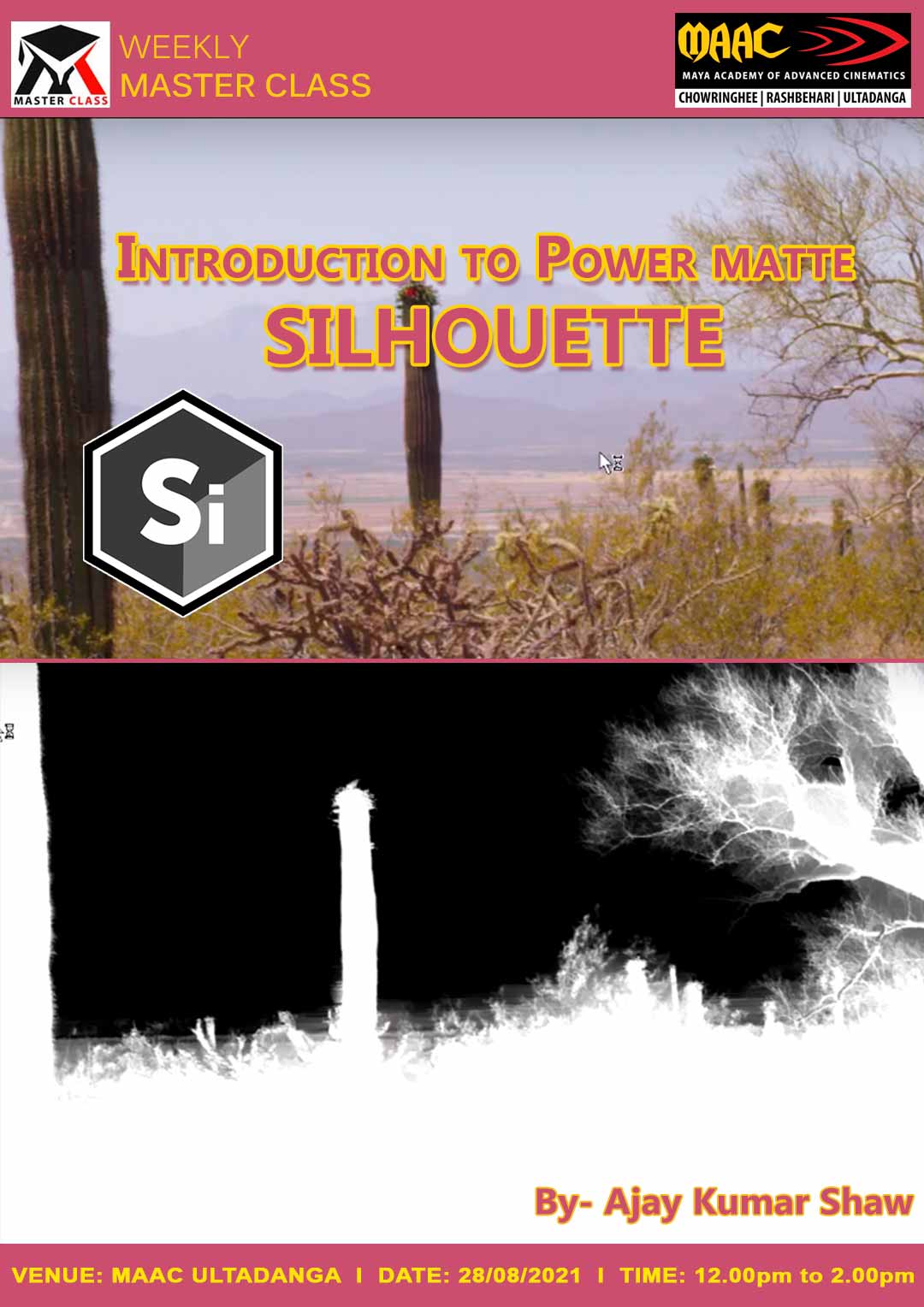 Weekly Master Class on Introduction to Power Matte Silhouette